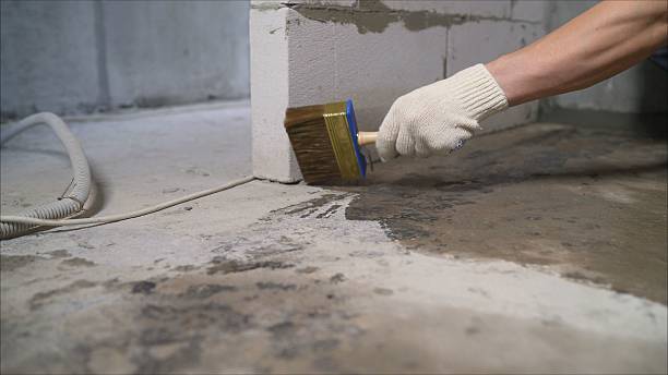 Top rated local Basement Waterproofing specialists in New Market, VA